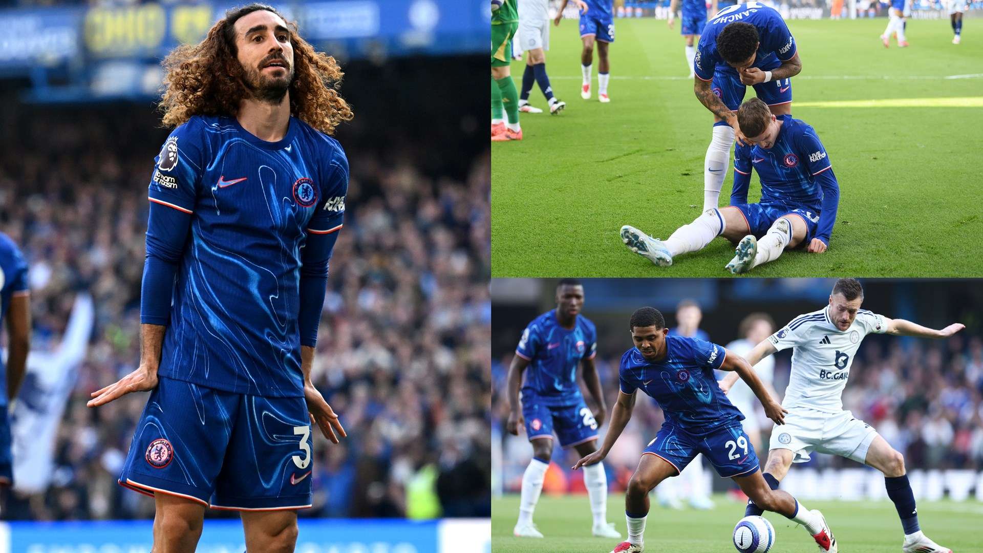 不论是全民 不论是全民