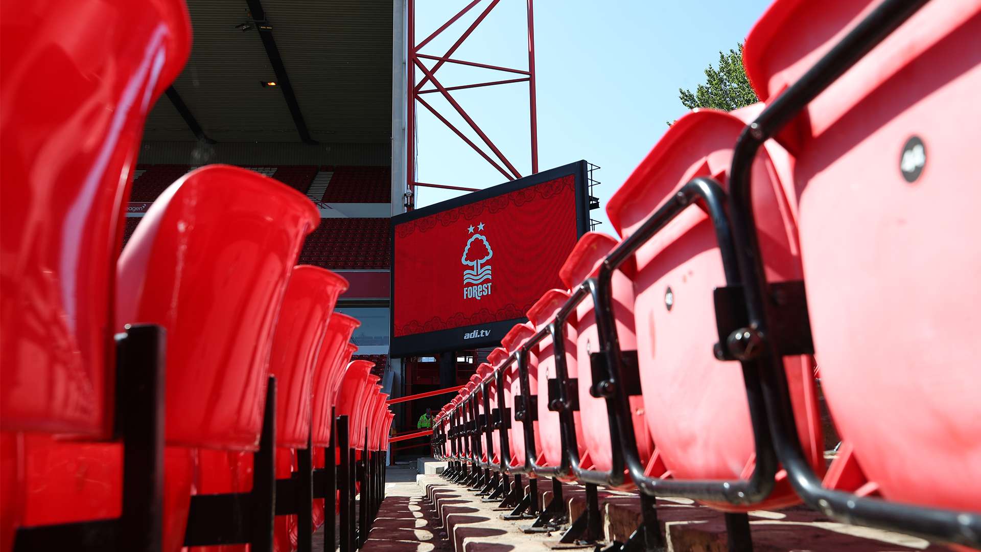 我们将迎来 我们将迎来