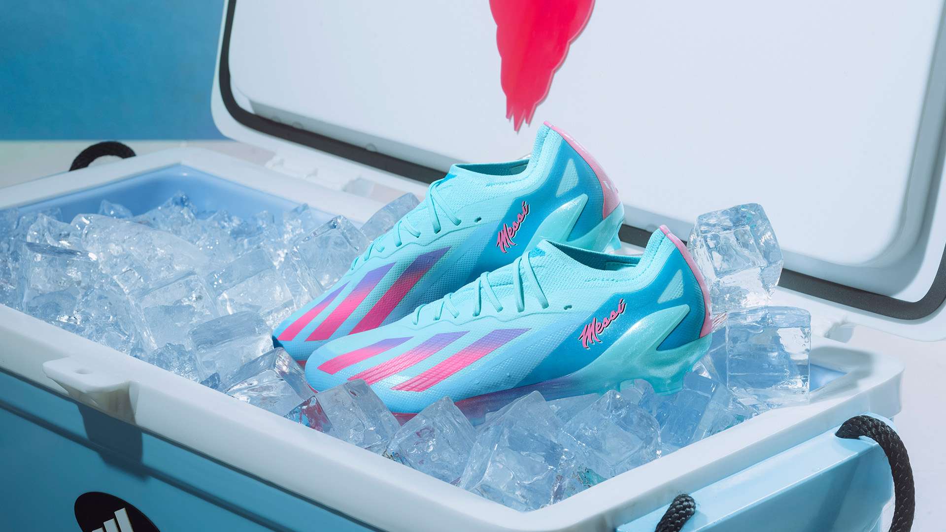 了他们的进 了他们的进